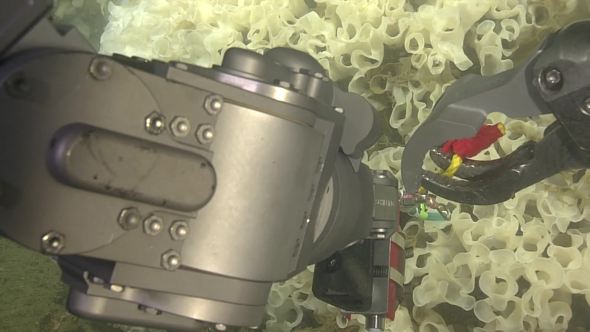 media 233989 thumbnail image