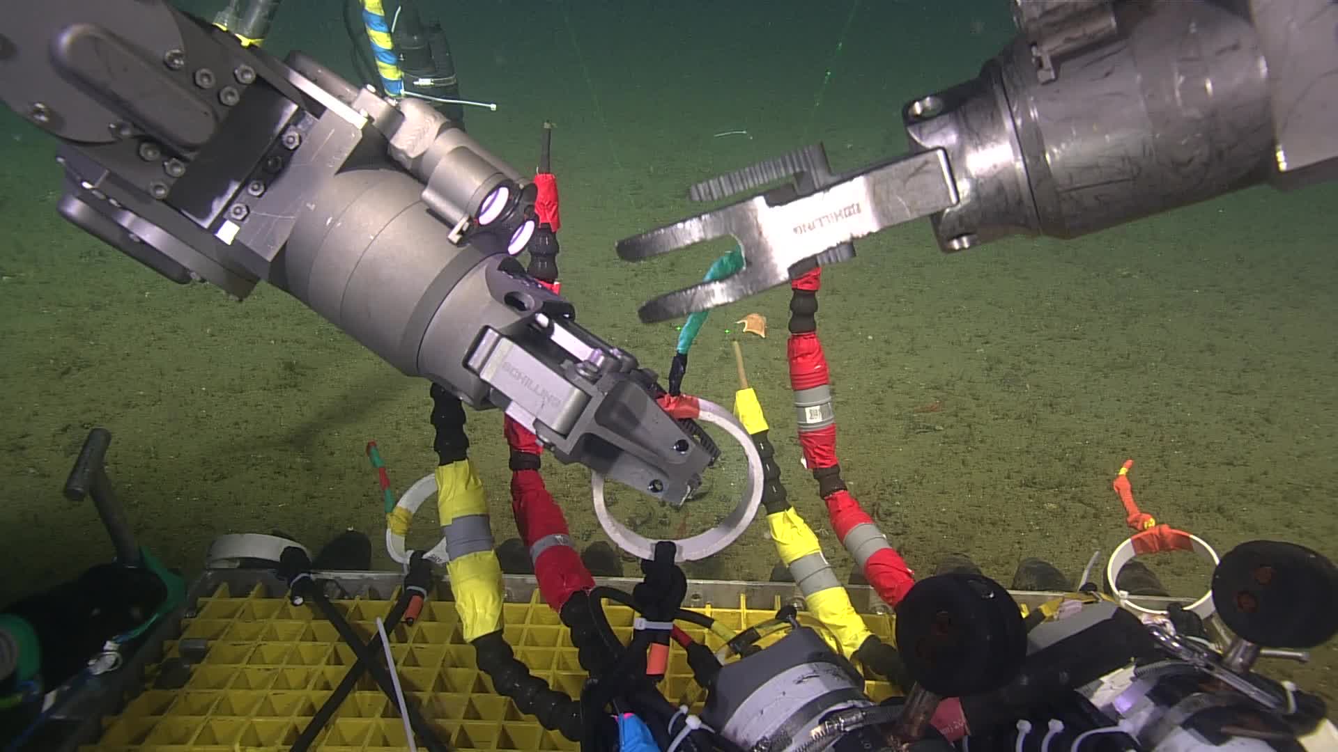 media 234034 thumbnail image