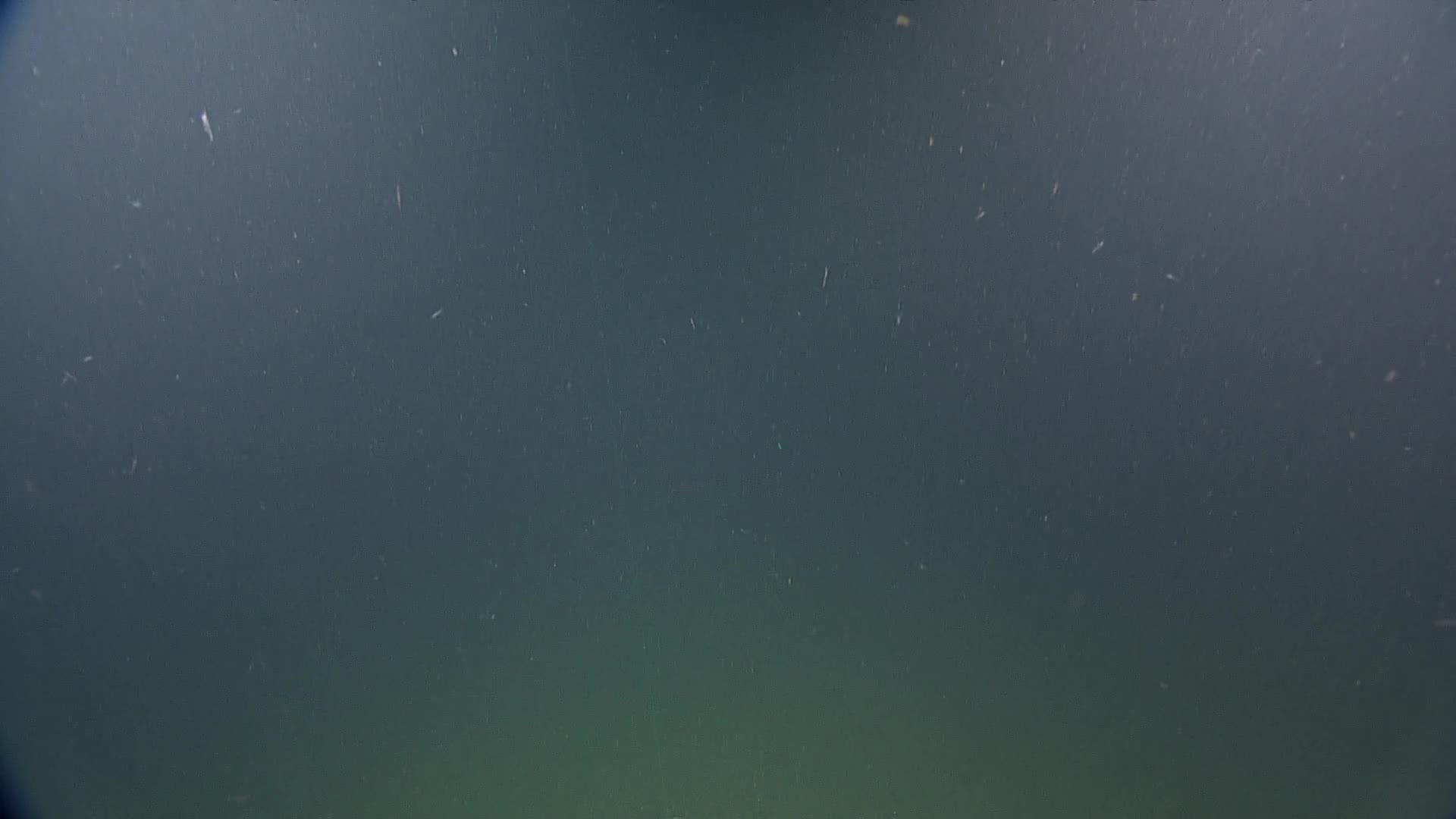 media 234230 thumbnail image