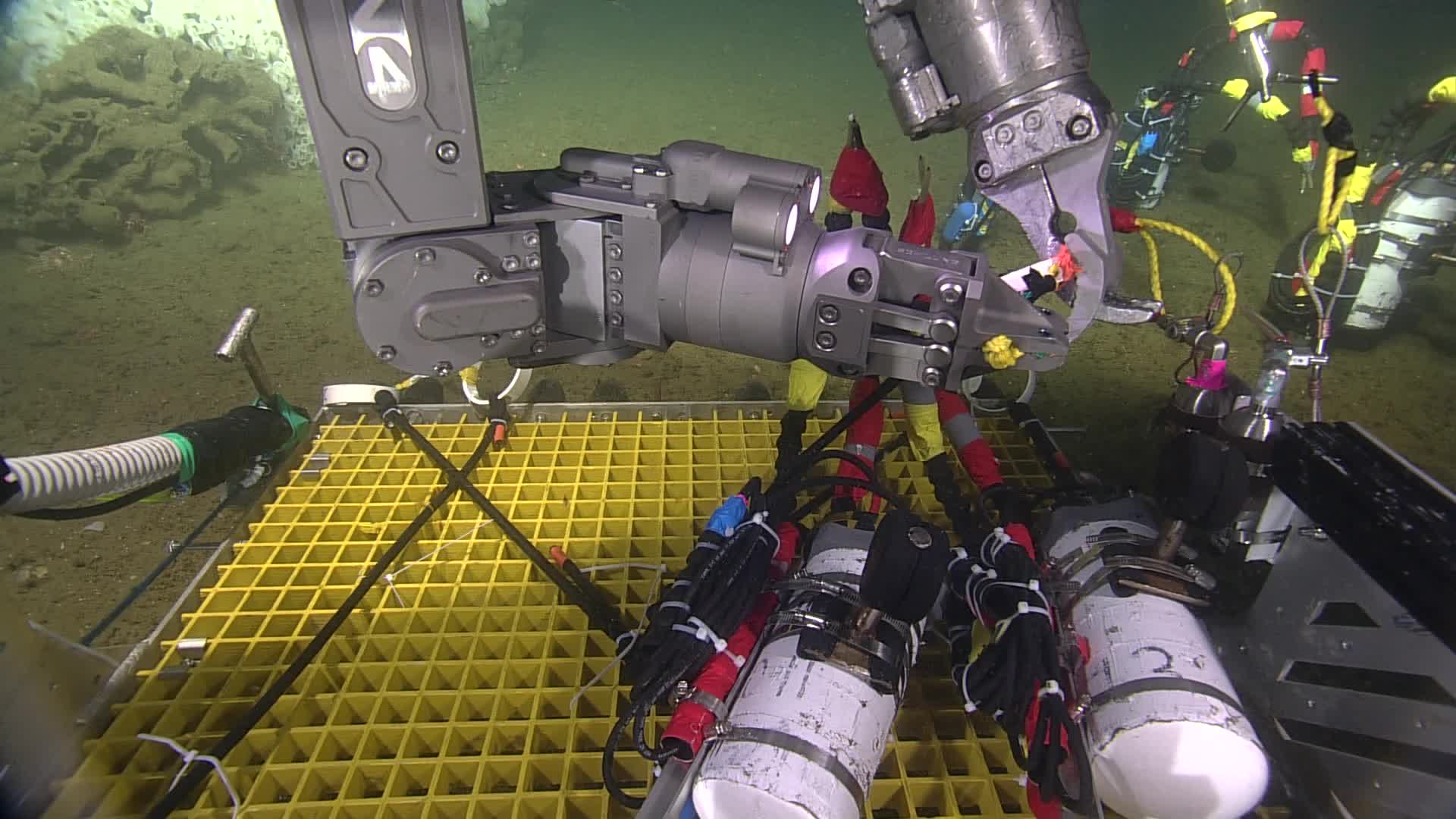 media 234243 thumbnail image