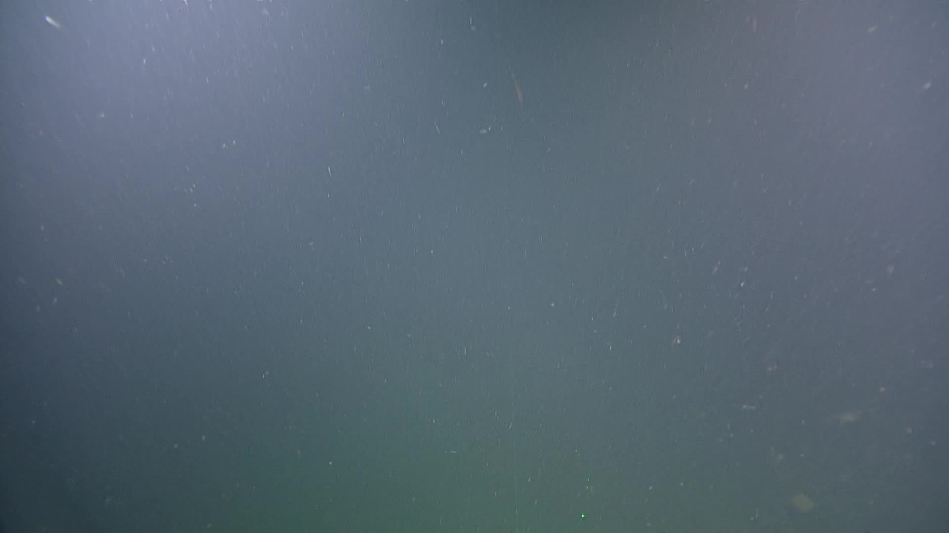 media 234244 thumbnail image