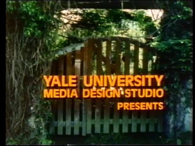 media thumbnail