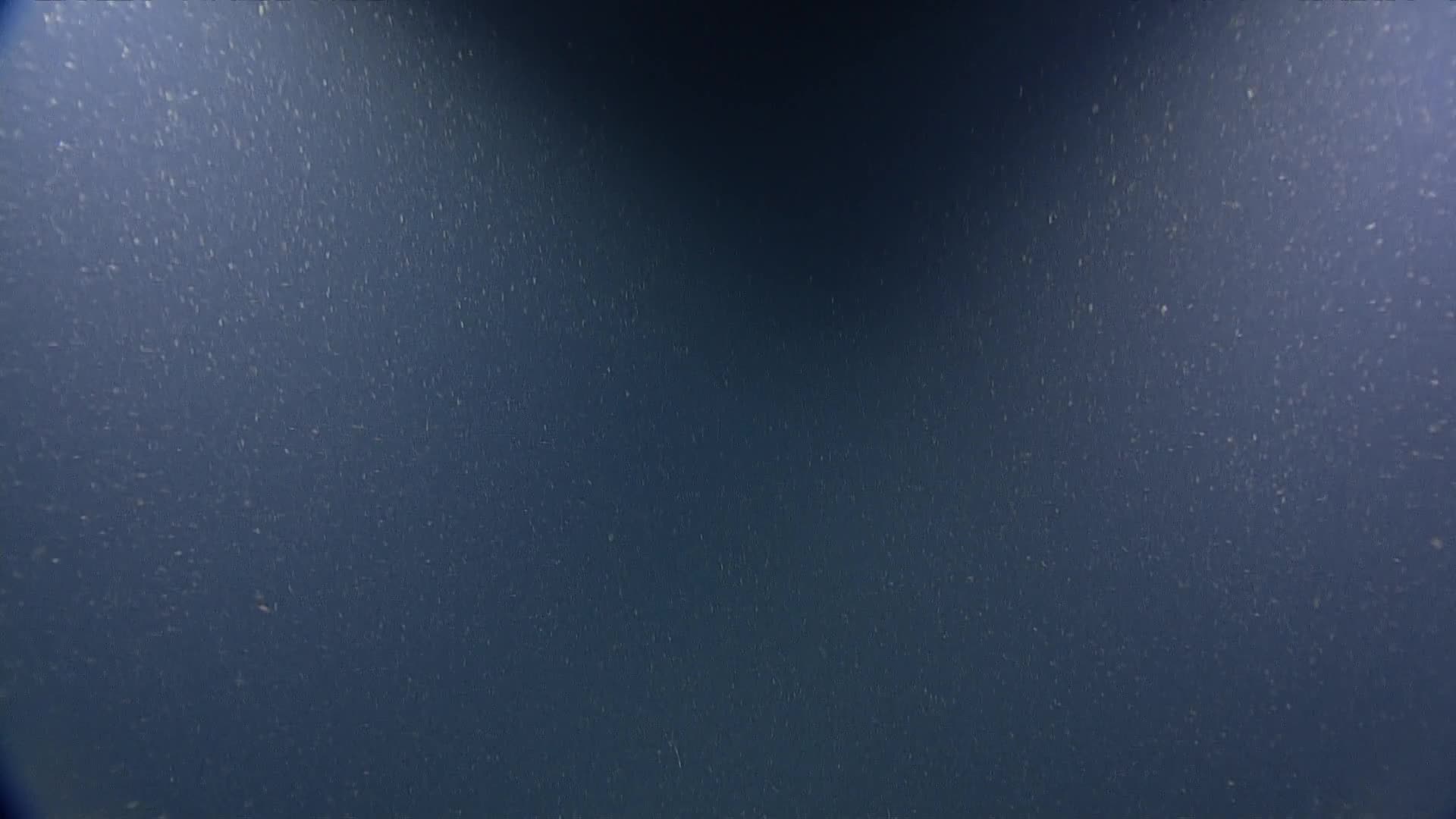media 234845 thumbnail image