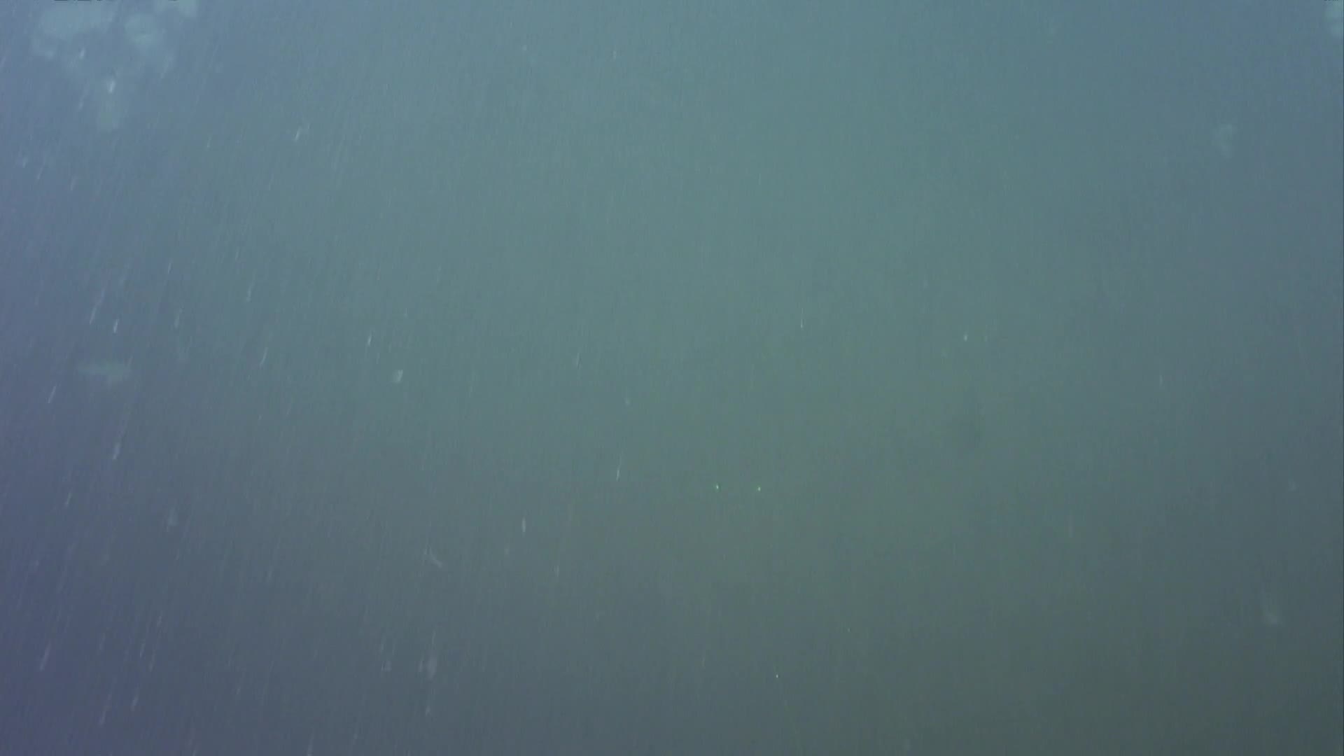 media 235010 thumbnail image