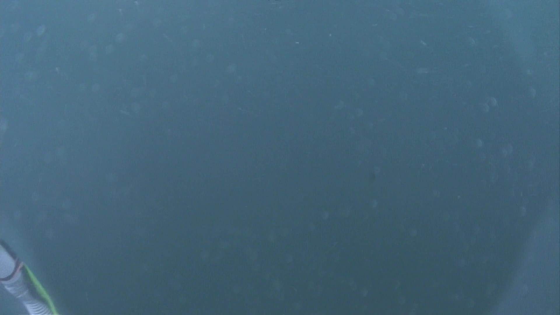 media 235040 thumbnail image