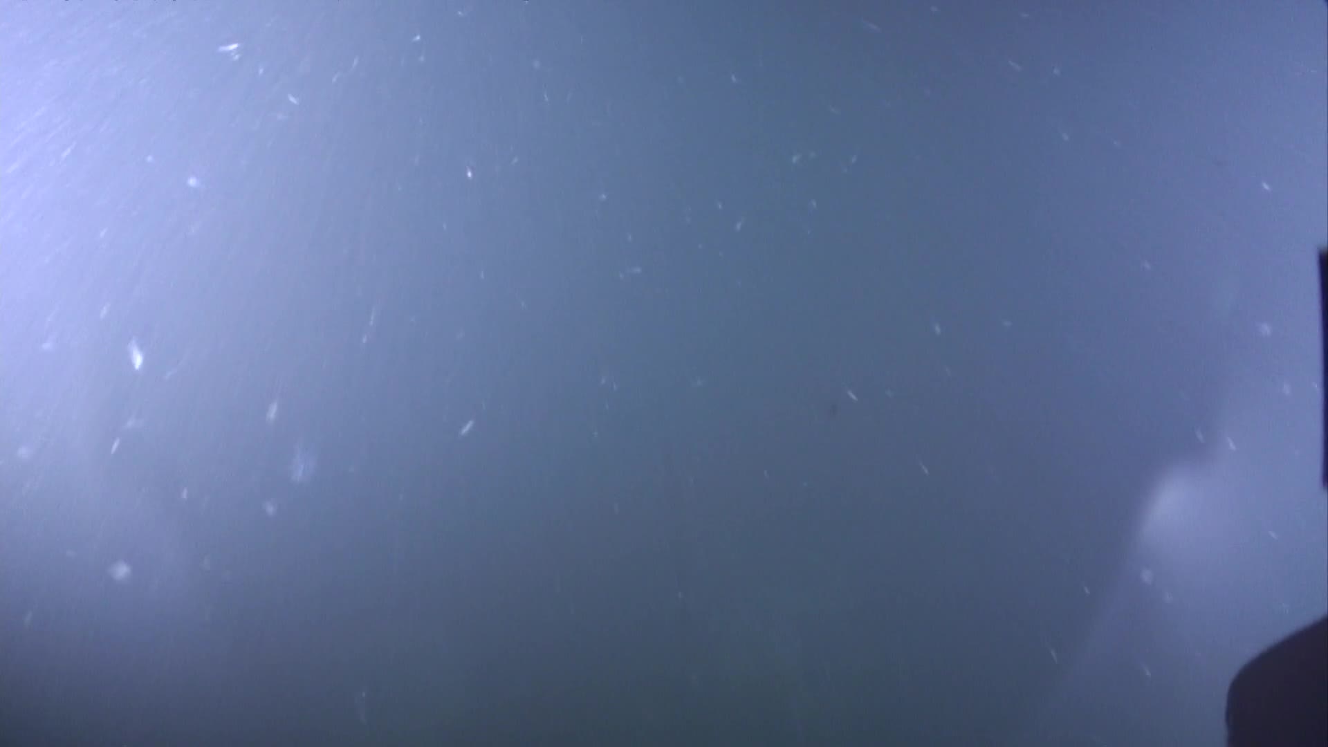 media 235691 thumbnail image