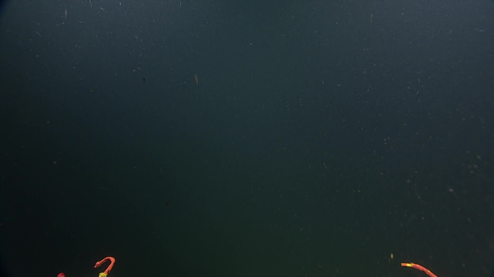 media 235986 thumbnail image