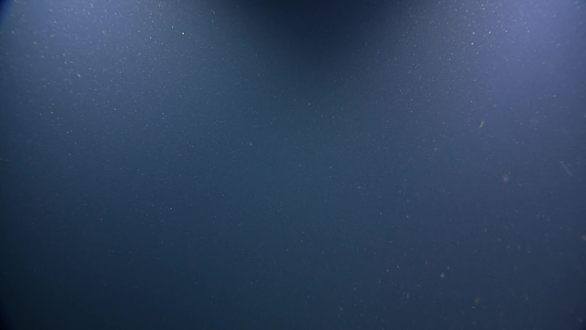 media 236021 thumbnail image