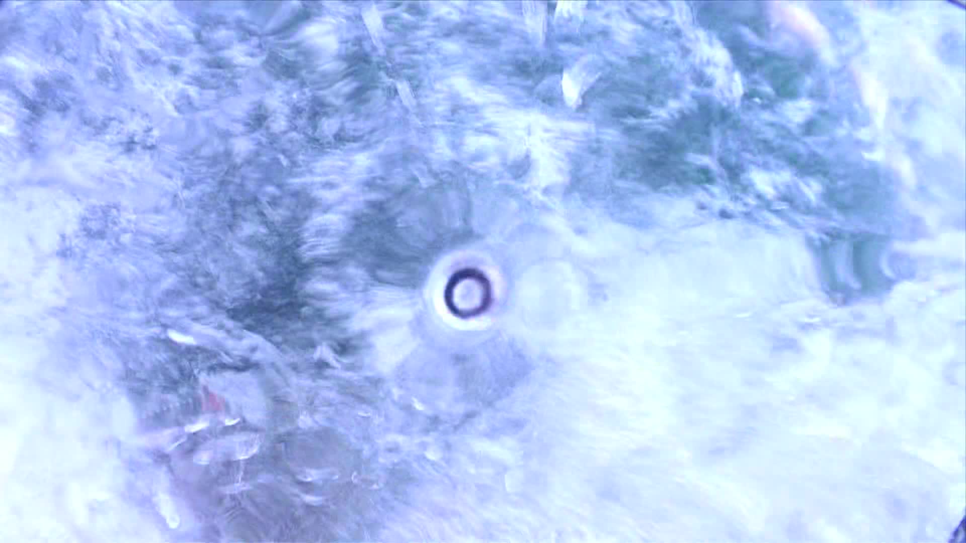 media 236343 thumbnail image