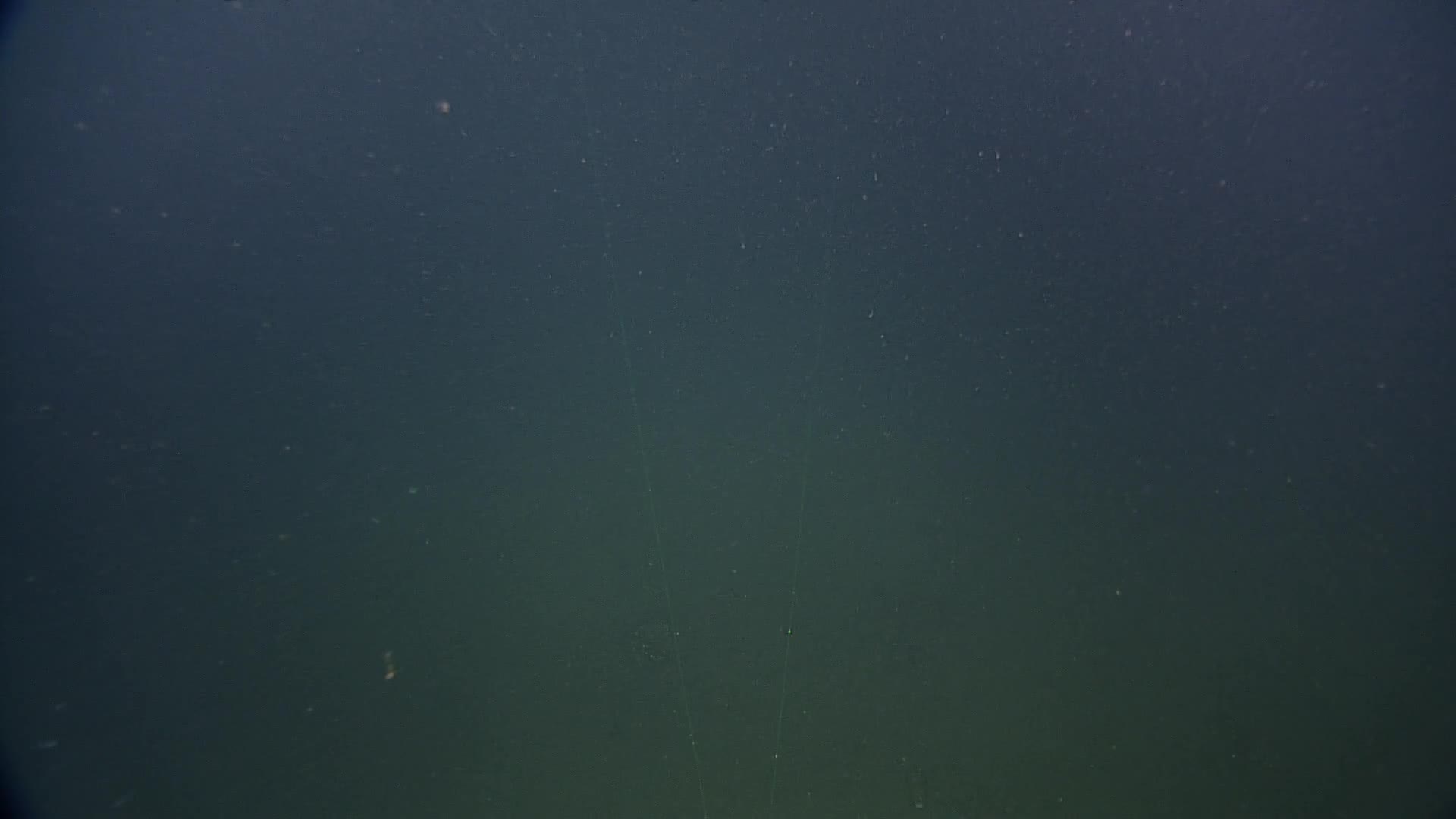 media 236398 thumbnail image