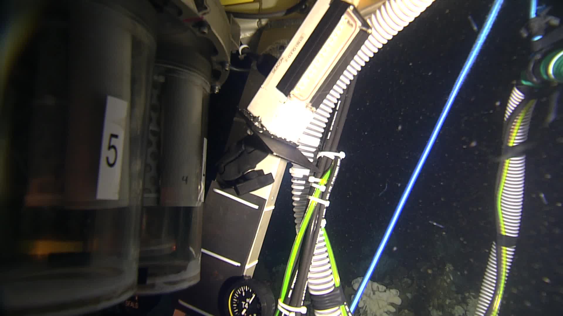 media 236425 thumbnail image