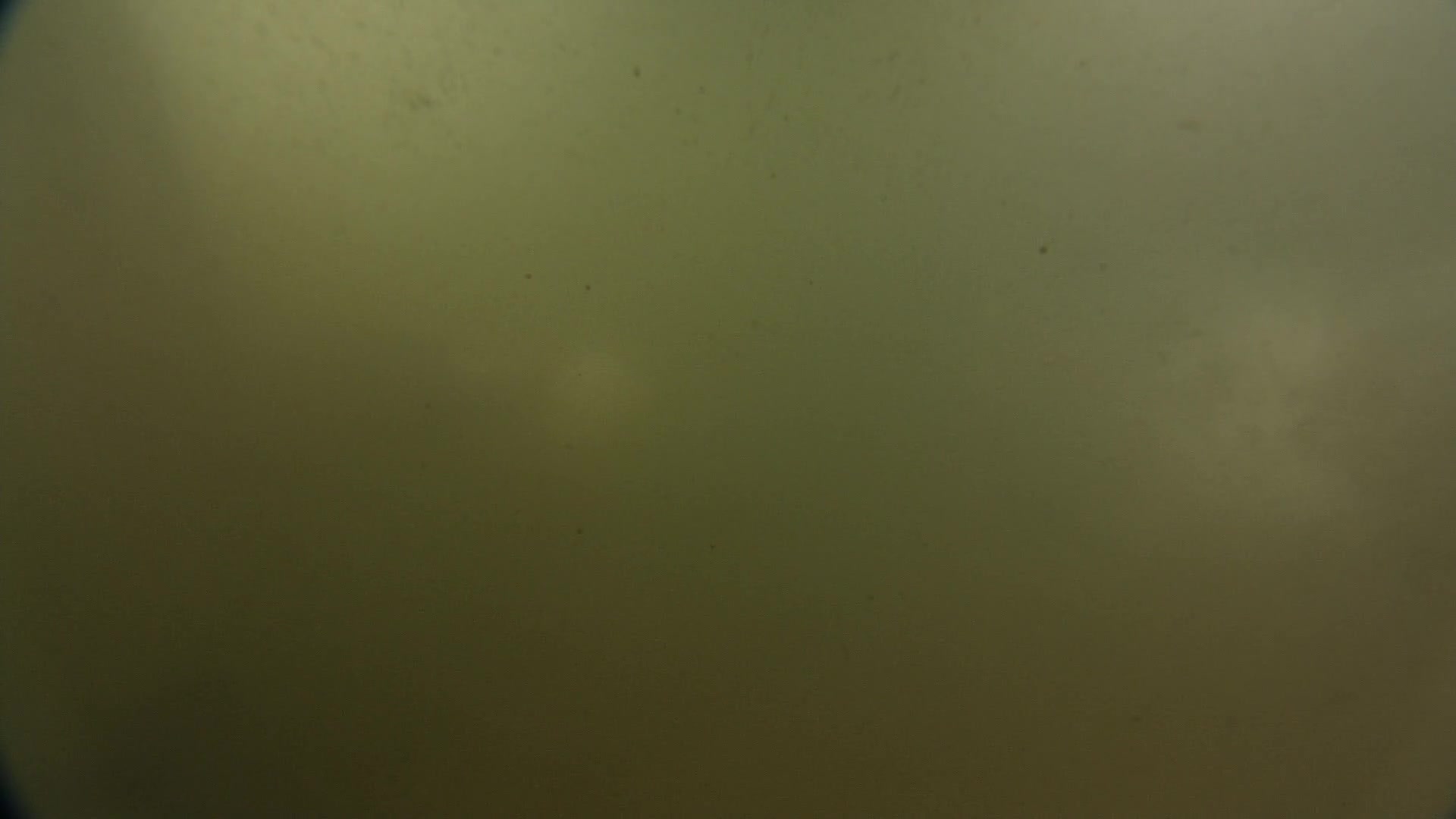 media 236435 thumbnail image