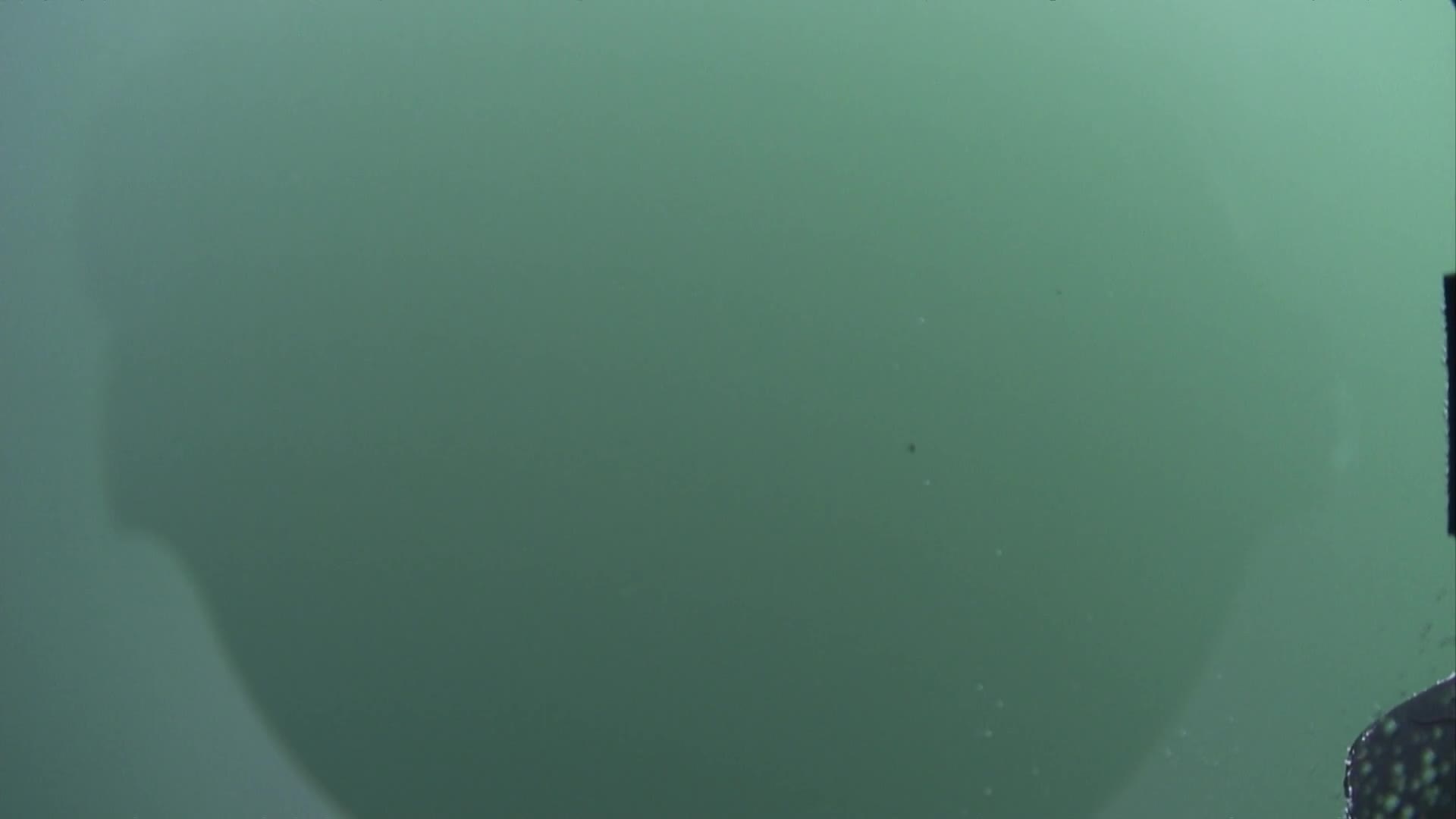 media 237477 thumbnail image