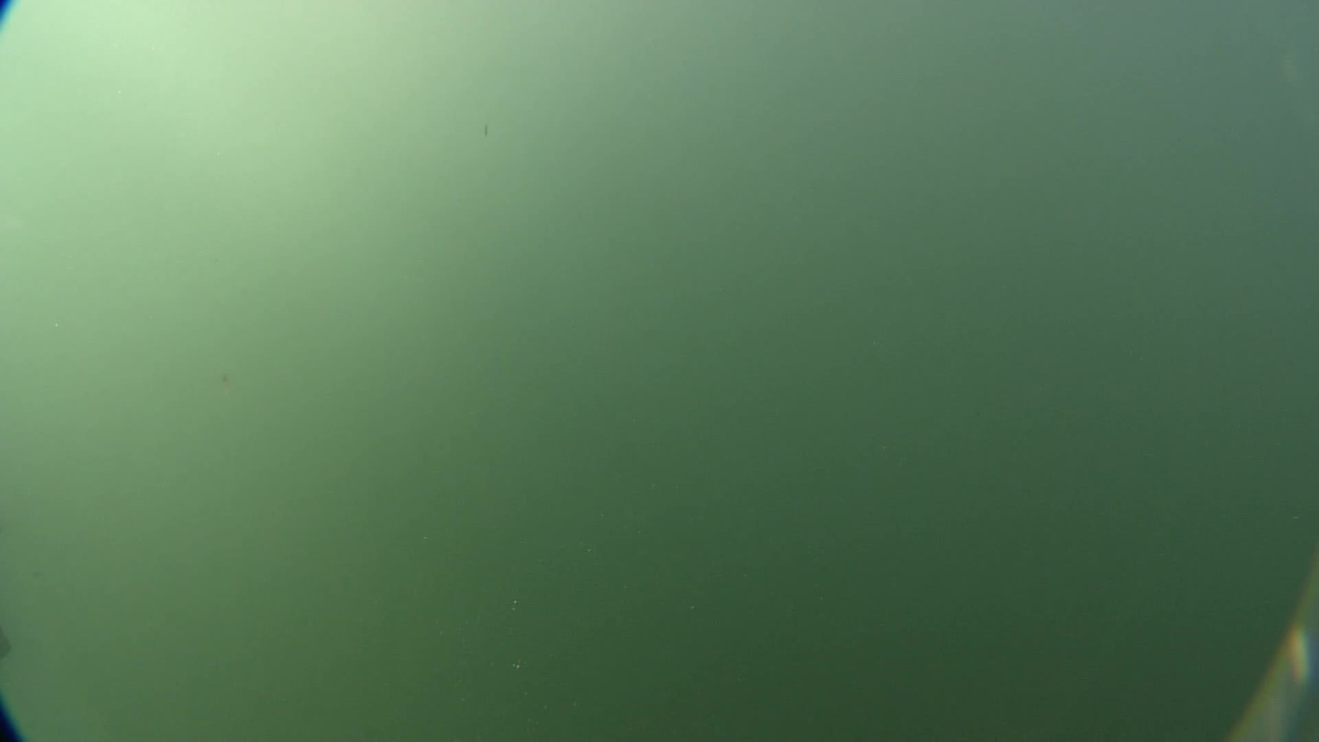 media 237975 thumbnail image