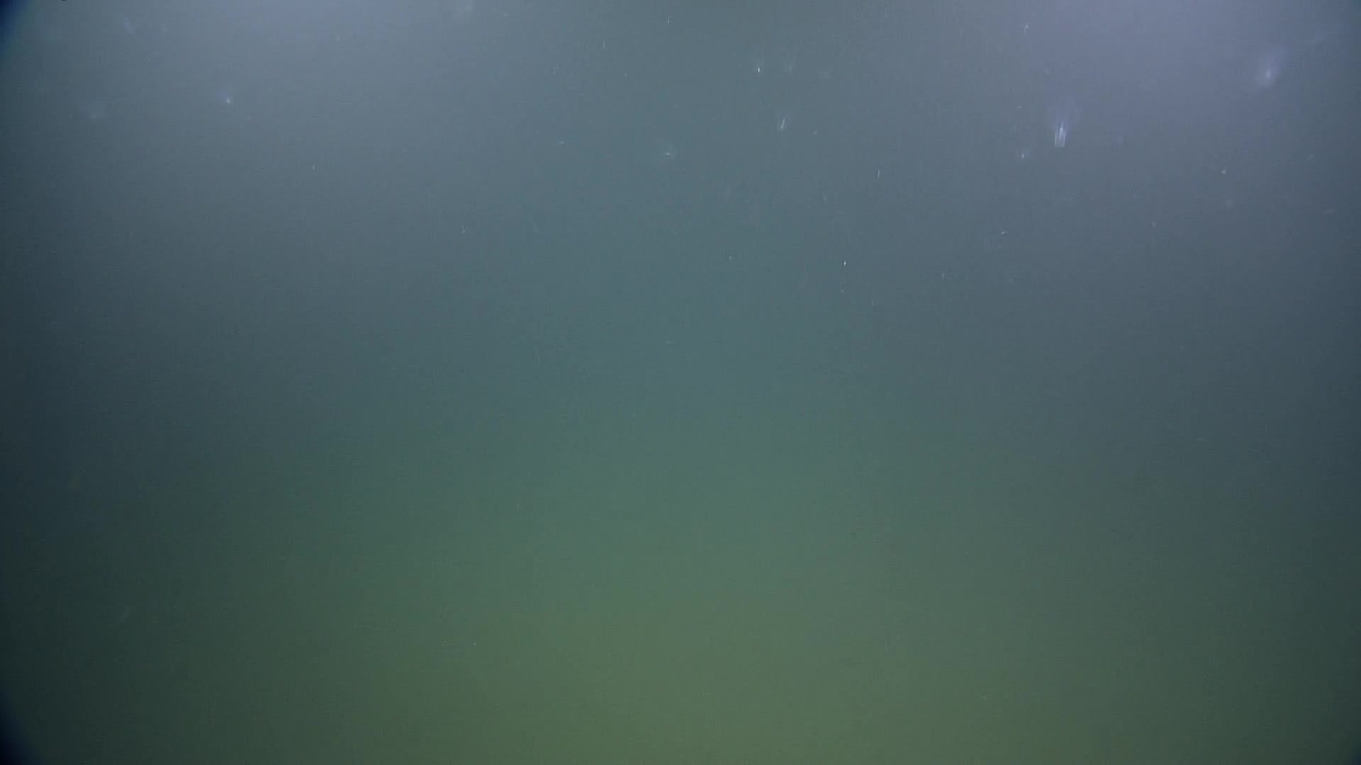 media 238050 thumbnail image