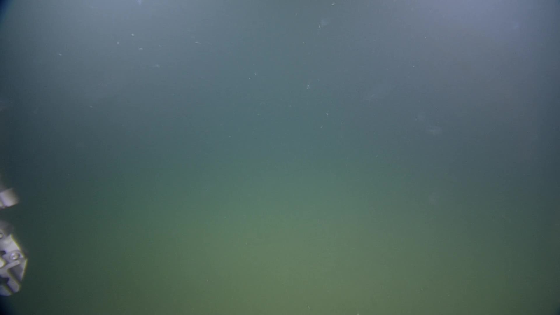 media 238053 thumbnail image