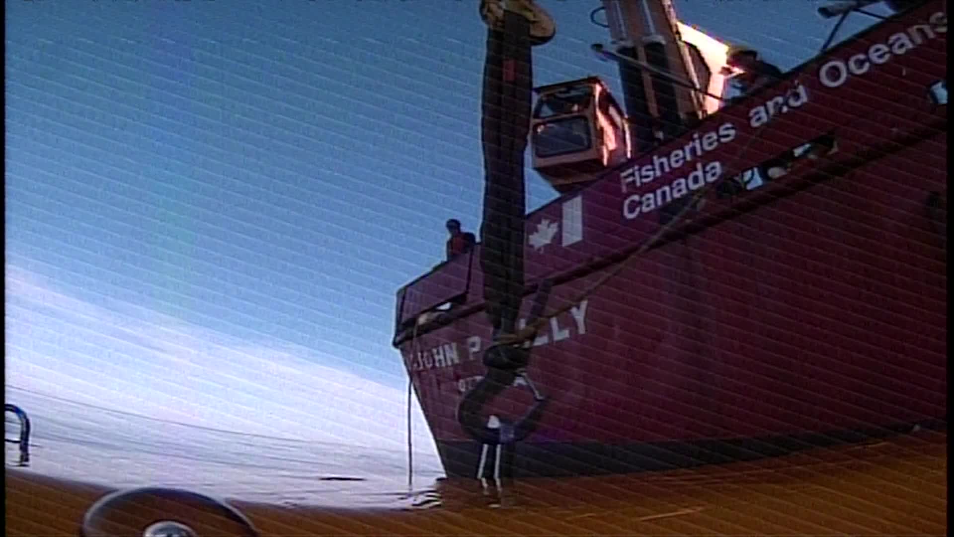 media 238800 thumbnail image