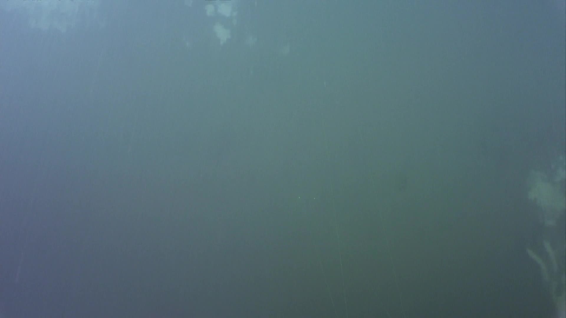 media 238826 thumbnail image