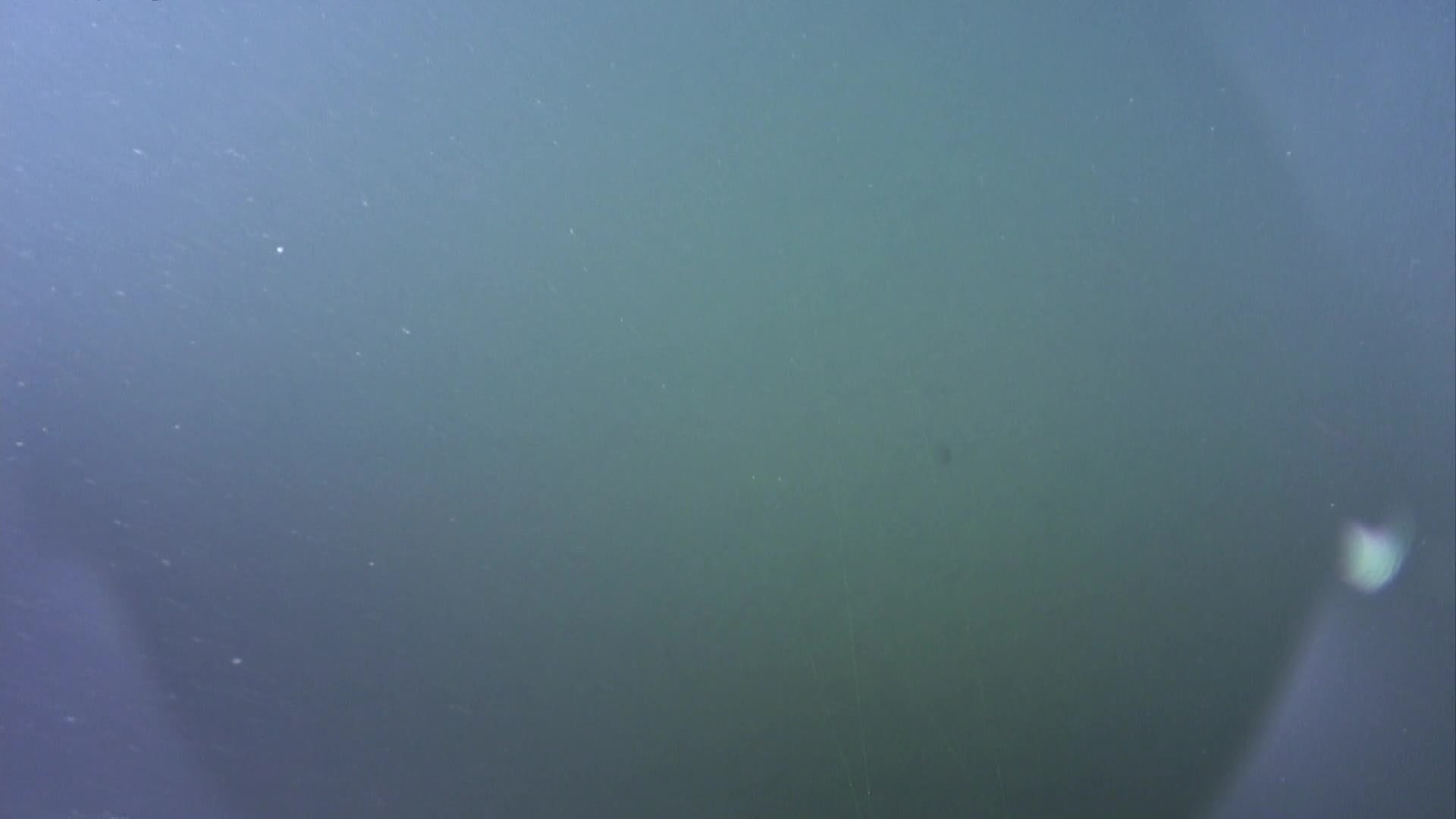media 238832 thumbnail image