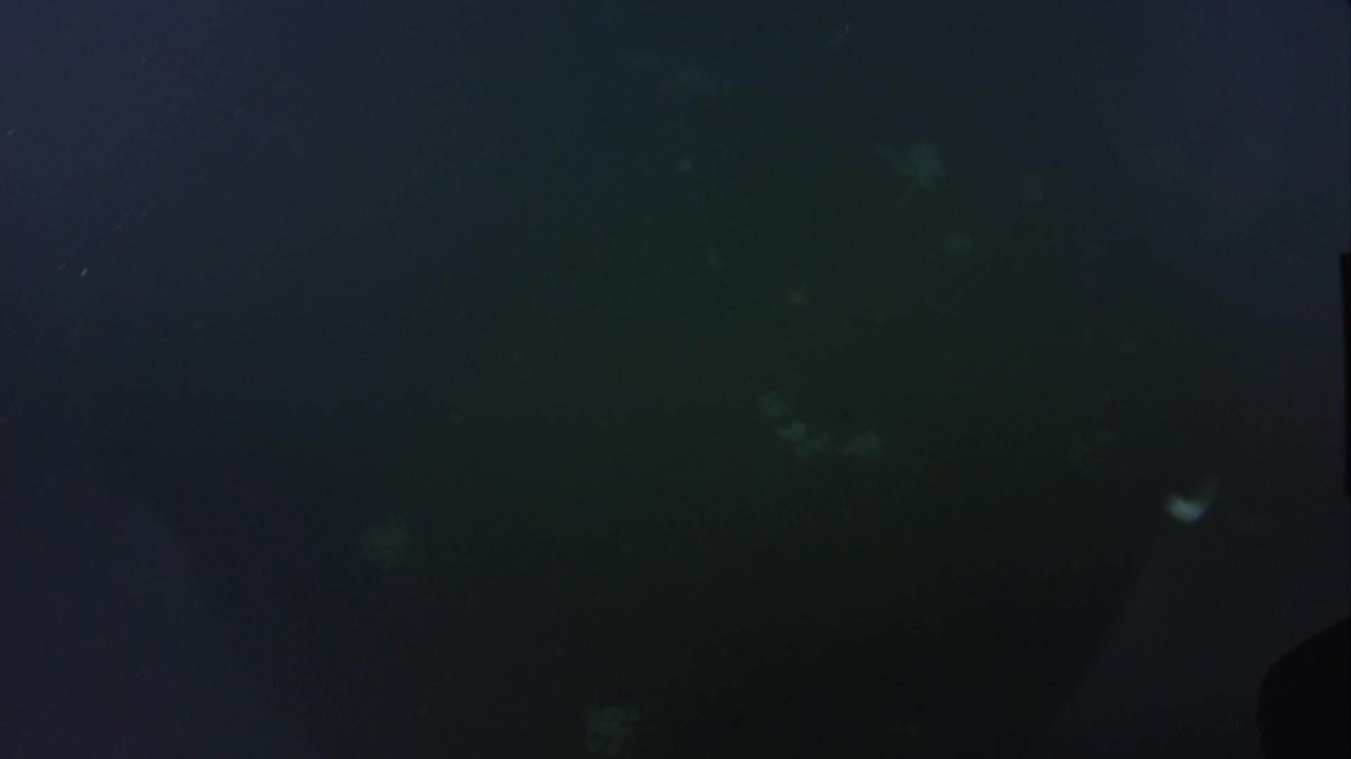 media 238863 thumbnail image
