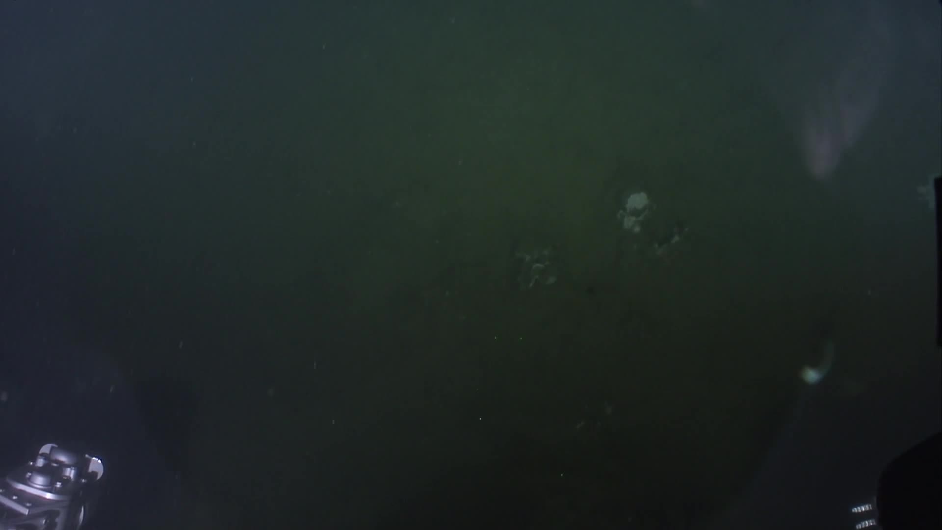 media 238874 thumbnail image