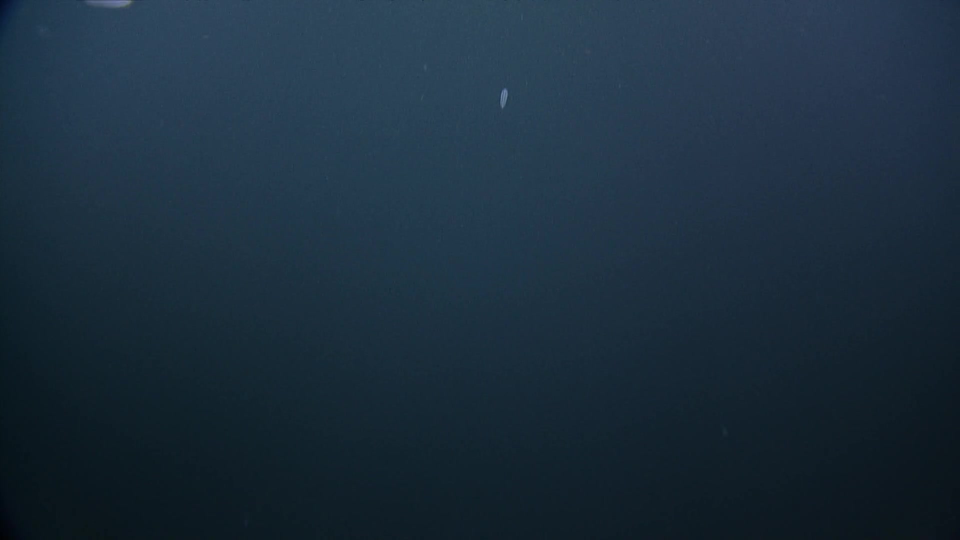 media 238878 thumbnail image