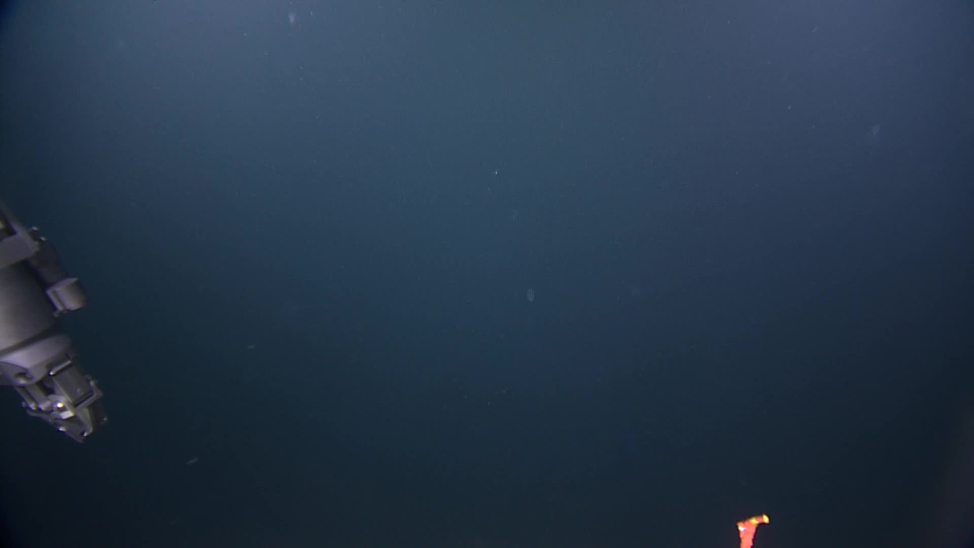 media 238879 thumbnail image