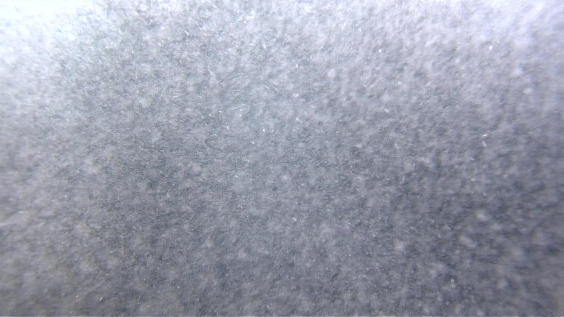 media 239541 thumbnail image
