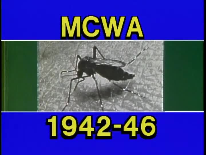 media 247426 thumbnail image