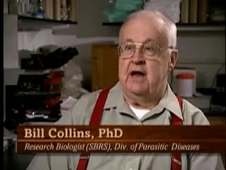 media 247438 thumbnail image