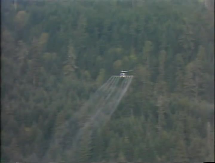 media 256752 thumbnail image