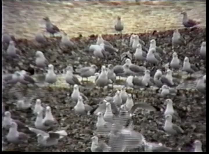 media 259856 thumbnail image