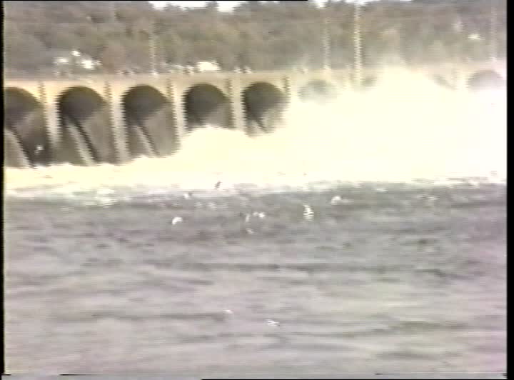 media 259857 thumbnail image