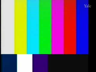 media thumbnail