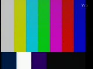 media 260774 thumbnail image