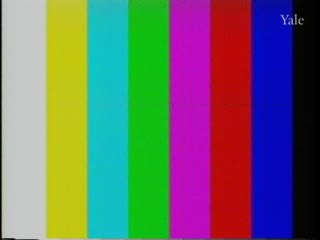 media thumbnail