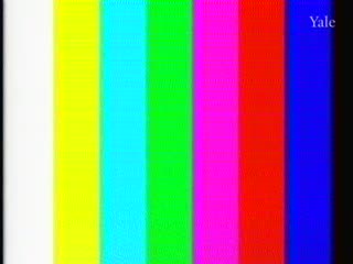 media thumbnail