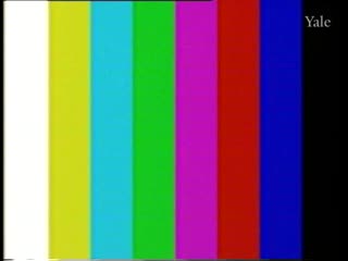 media thumbnail