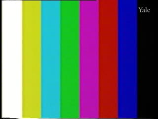media 261232 thumbnail image