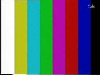 media thumbnail