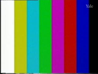 media 261317 thumbnail image