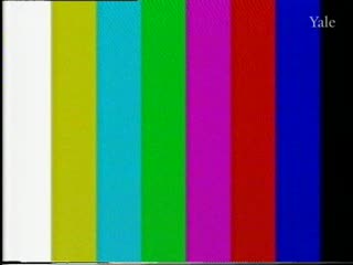 media 261319 thumbnail image