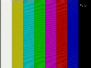 media 261328 thumbnail image