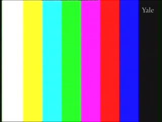 media thumbnail