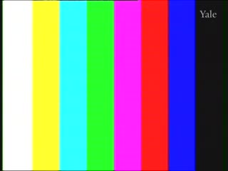 media 261331 thumbnail image