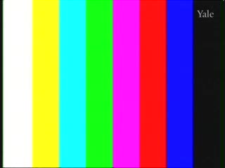 media thumbnail