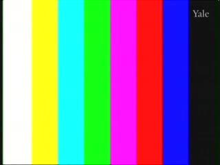 media 261336 thumbnail image