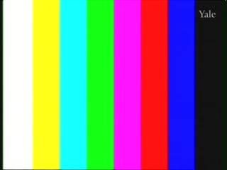 media 261337 thumbnail image