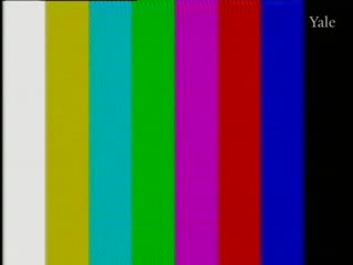 media thumbnail