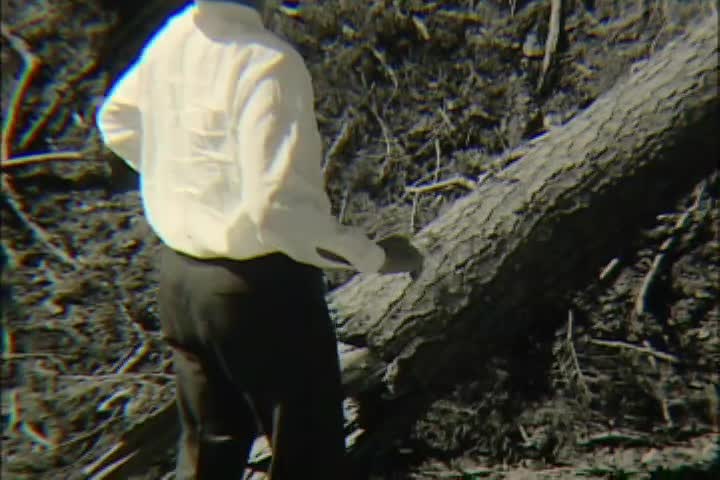 media 261353 thumbnail image